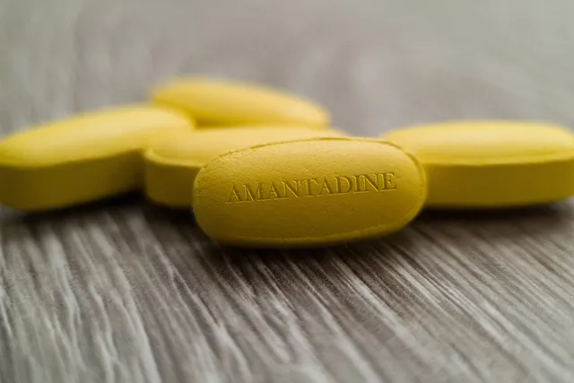 Amantadine for Dogs: Our Vet Explains the Dosage, Pain Management & Side Effects