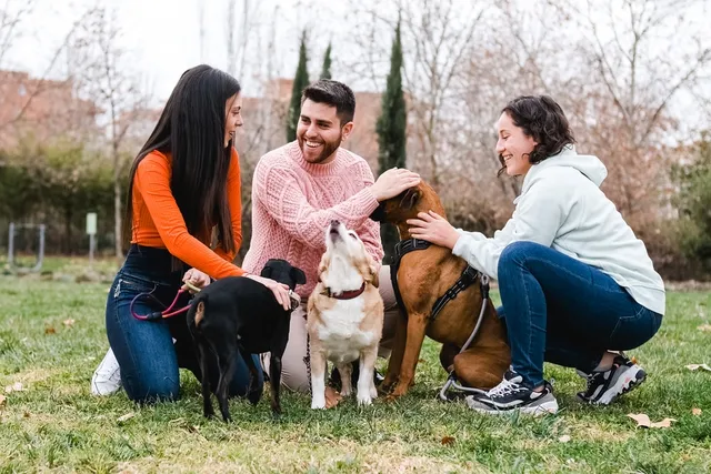 How to Bond With Your Dog: 9 Vet-Verified Ways to Strengthen Your Connection