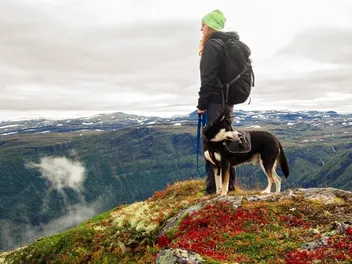 10 Dog-Friendly Hiking Trails In New Hampshire (With Pictures)