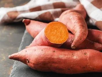 Why Sweet Potatoes Could Be Your Dog’s New Superfood