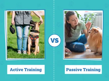 Active vs. Passive Dog Training: Vet-Approved Guide for Your Pup