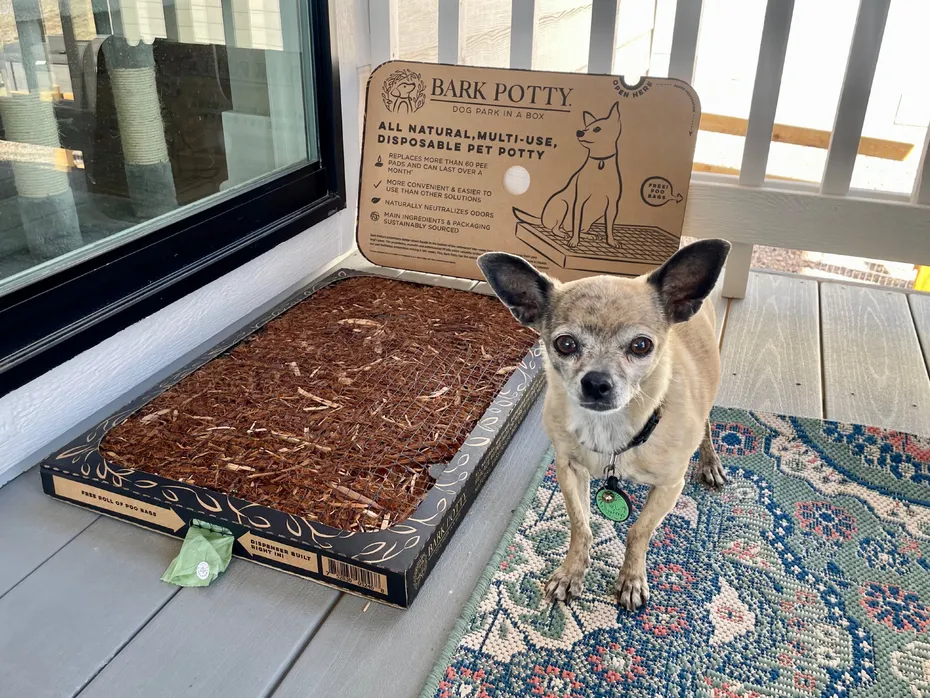 DoggieLawn Bark Potty - papyrus standing next to the product