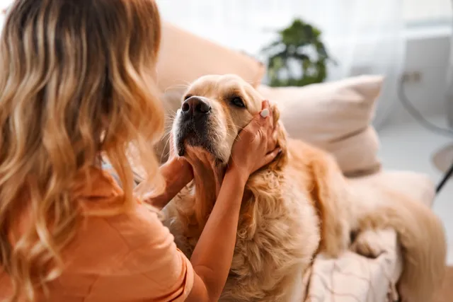 How Do I Know If My Dog Is Healthy? Our Vet Discusses 12 Ways to Tell