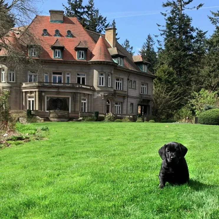 Pittock Mansion