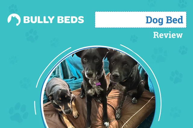 Bully Bed Orthopedic Large Dog Bed Review 2026: An Expert's Breakdown