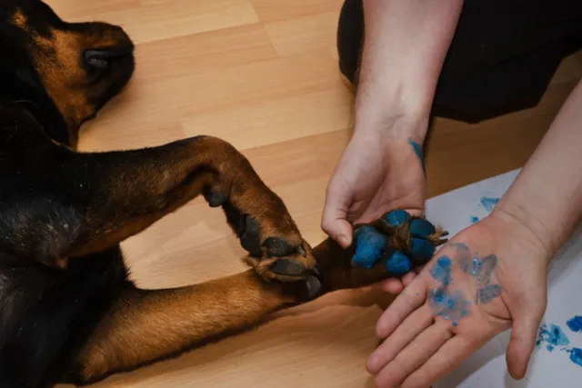 How to Make Dog Paw Prints With Paint: 8 Expert Tips