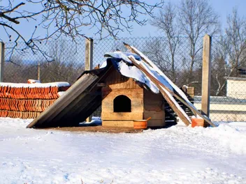 8 Best Dog Houses for Cold Winter Weather in 2026 – Reviews & Top Picks