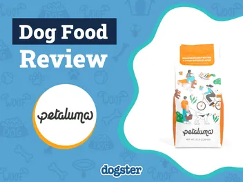 Petaluma Dog Food Review 2026: Our Expert’s Opinion
