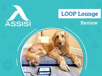 Assisi LOOP Lounge Review 2026: A Natural Way to Heal Your Pet