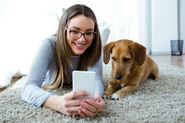 Pet Telehealth: How Does It Work? Vet-Approved Facts & FAQ