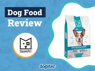SquarePet Dog Food Review 2026: Recalls, Pros & Cons