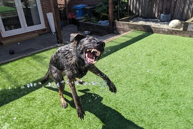 Kodah, Addicted to the Hose (With Video)