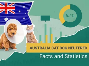 How Many Dogs & Cats Are Neutered in Australia? 16 Statistics in 2026
