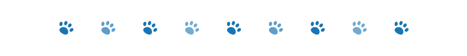 divider dog paws 2 oct 2024