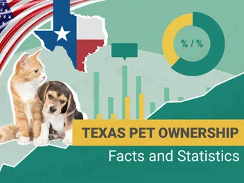 16 Pet Ownership Statistics in Texas: Updated in 2026