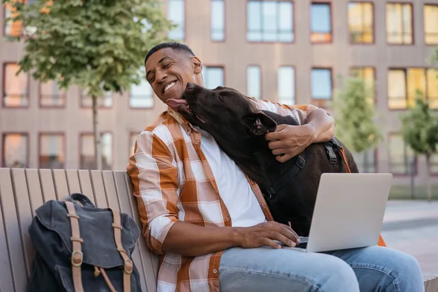 13 Dog-Friendly Colleges in the United States: Tips & Restrictions