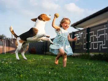 Why Is My Dog Aggressive Toward Children? 7 Vet-Verified Reasons