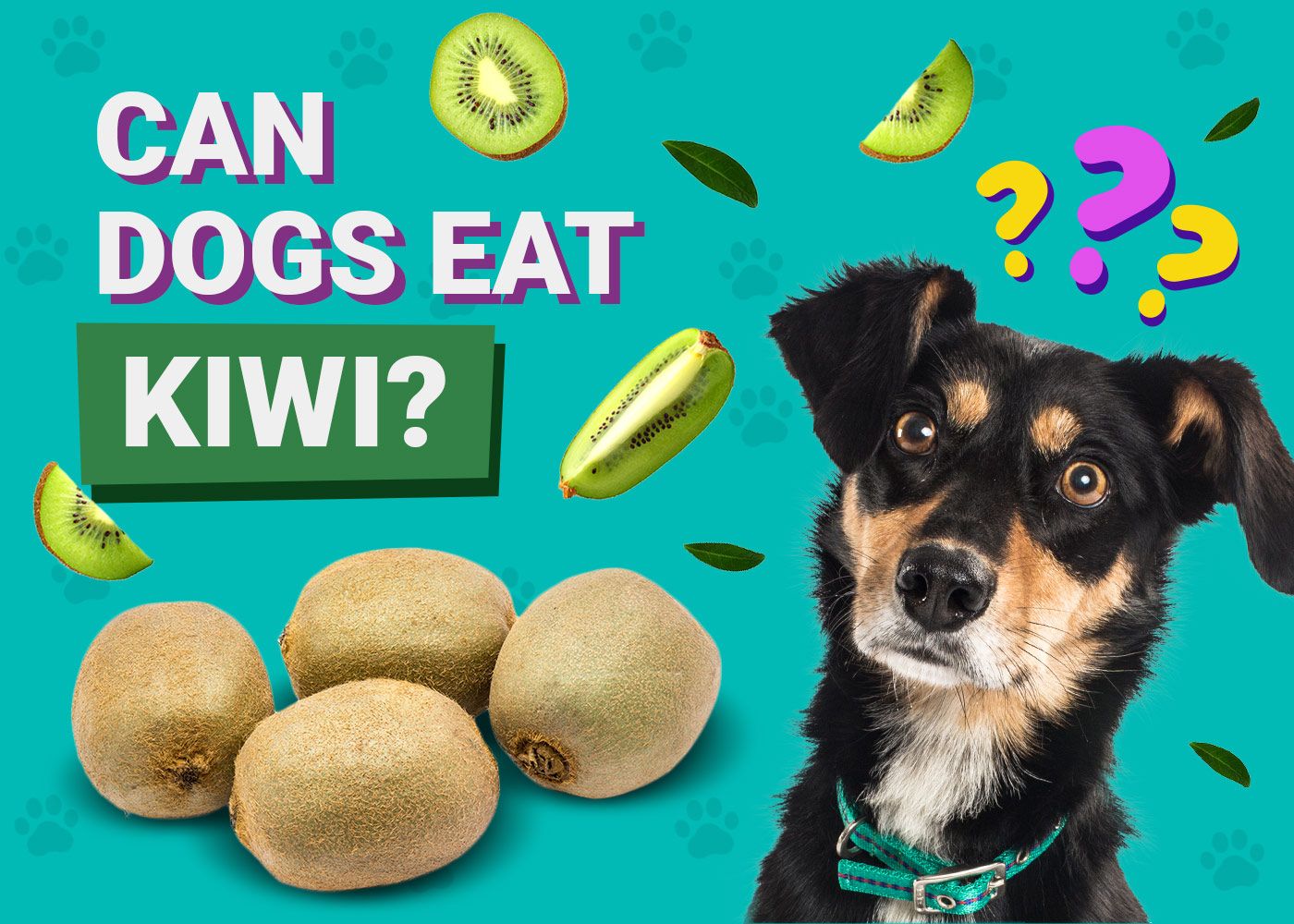 Can Dogs Eat Kiwis