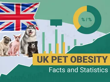12 UK Pet Obesity Statistics & Facts to Know in 2026: Dogs, Cats, & Other Pets