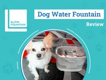 Elfin Fountain D1 Pro Review 2026: Keep Your Pet Hydrated All Day Long