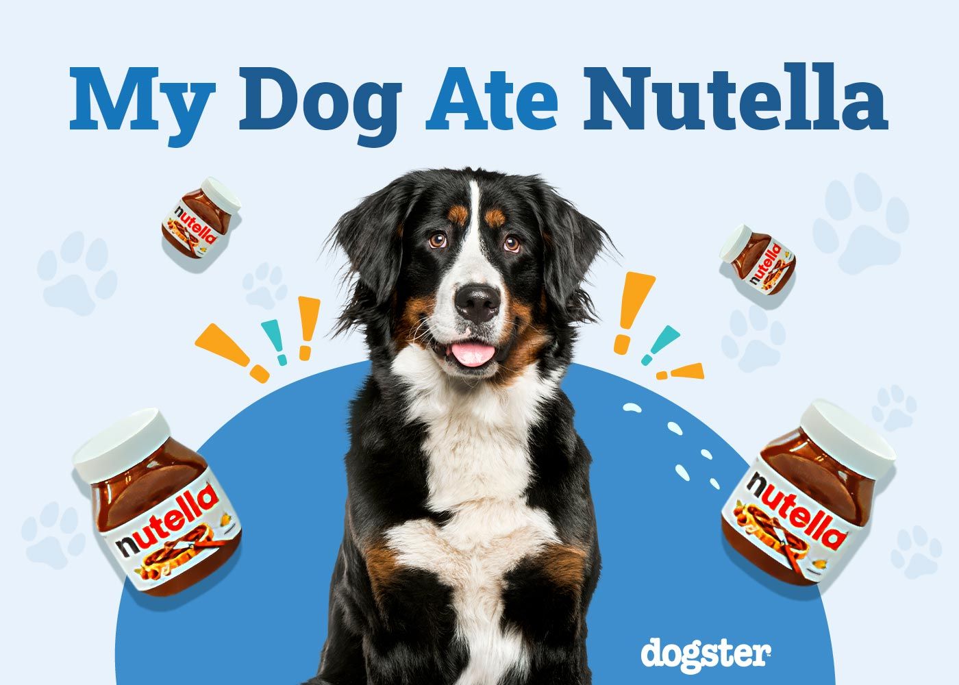 My Dog Ate Nutella