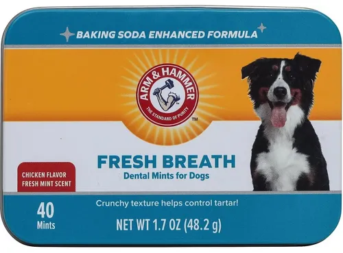 Arm &amp; Hammer Dental Care Fresh Breath &amp; Whitening Mint