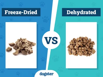 Freeze-Dried vs. Dehydrated Dog Food 2026 Comparison: Pros & Cons