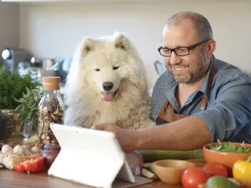 What to Feed a Dog With Cancer: Safe Foods & Homemade Recipe