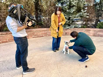 My Dog Is Cuter Than Yours: Gizmo's 15 Minutes of Fame