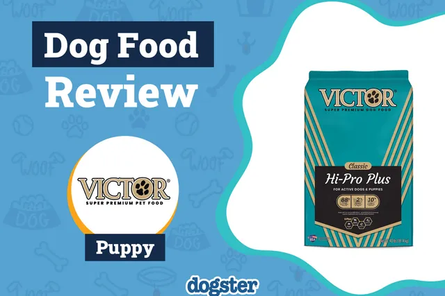 Victor Puppy Food Review 2026: Recalls, Pros & Cons