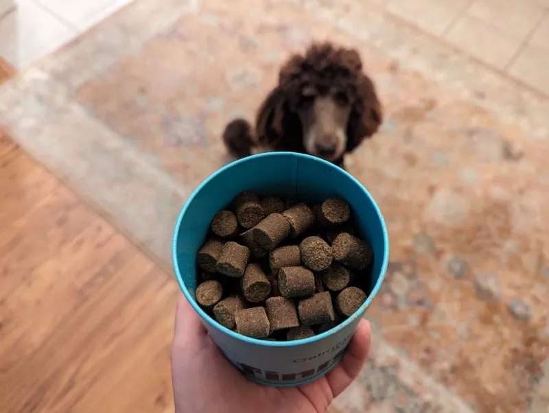 finn calming aid supplements in tin can