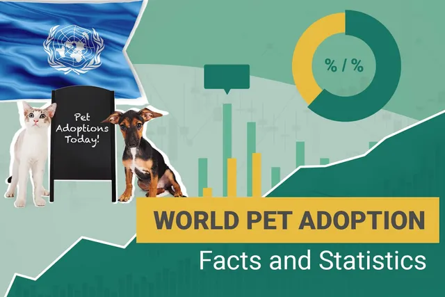 17 Pet Adoption Statistics & Facts to Know in 2026