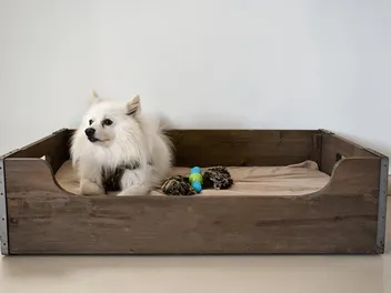 20 Creative DIY Wooden Dog Bed Plans You Can Build Today (With Pictures)