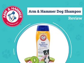 Arm & Hammer Dog Shampoo Review 2026: Pros, Cons & Verdict