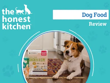 The Honest Kitchen Dog Food Review 2026: Our Expert’s Breakdown
