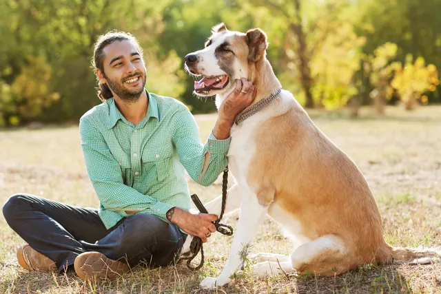 13 New Year’s Resolutions for Your Dog and You to Stick to in 2026