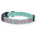 Pawtitas Solid Personalized Dog Collar comp table