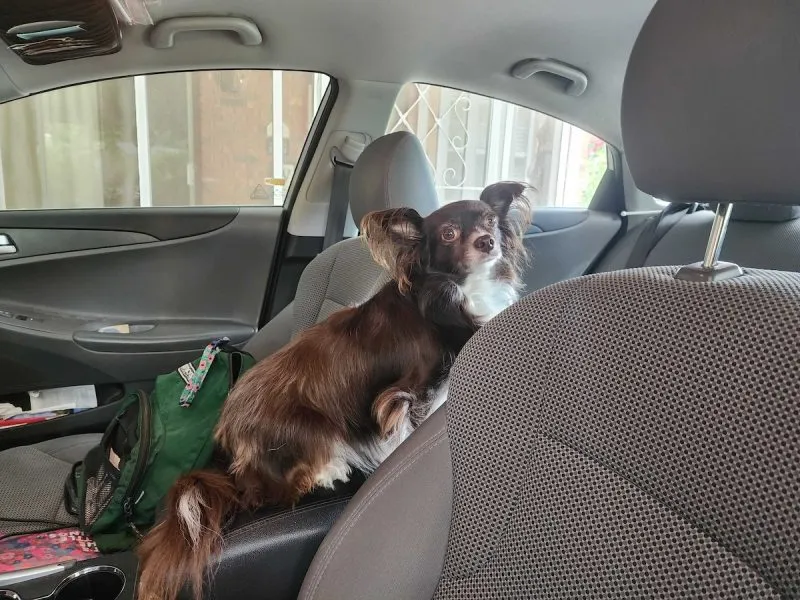 Come on, Mom, I'm ready to go!