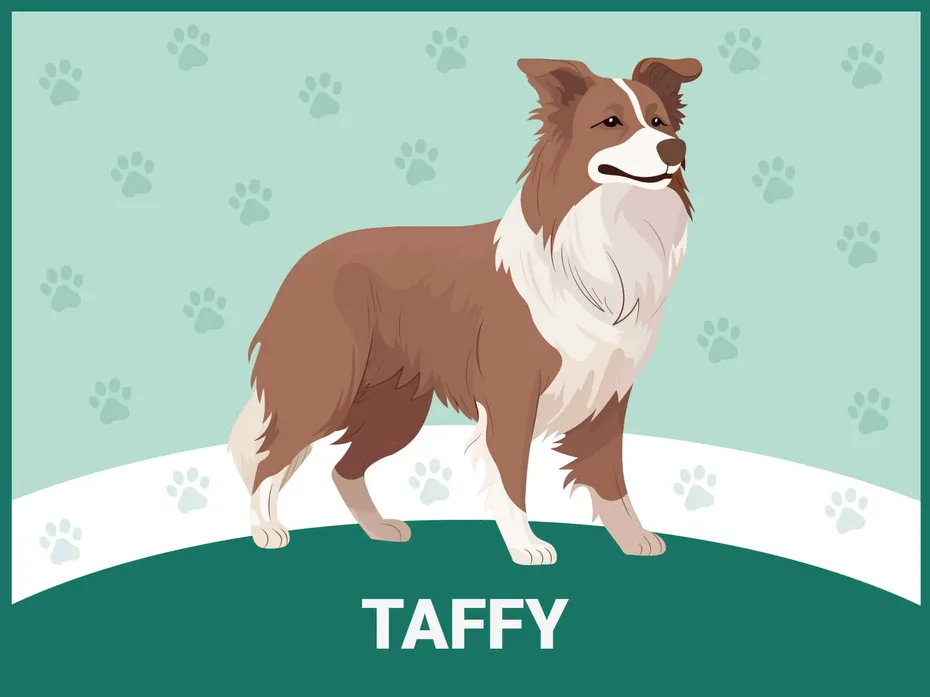 Taffy