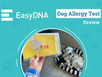 EasyDNA Dog Allergy Test Review 2026: A Comprehensive Allergen Test for Dogs
