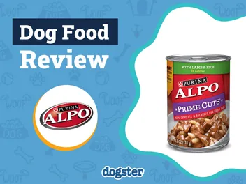 Alpo Dog Food Review 2026: Recalls, Pros & Cons