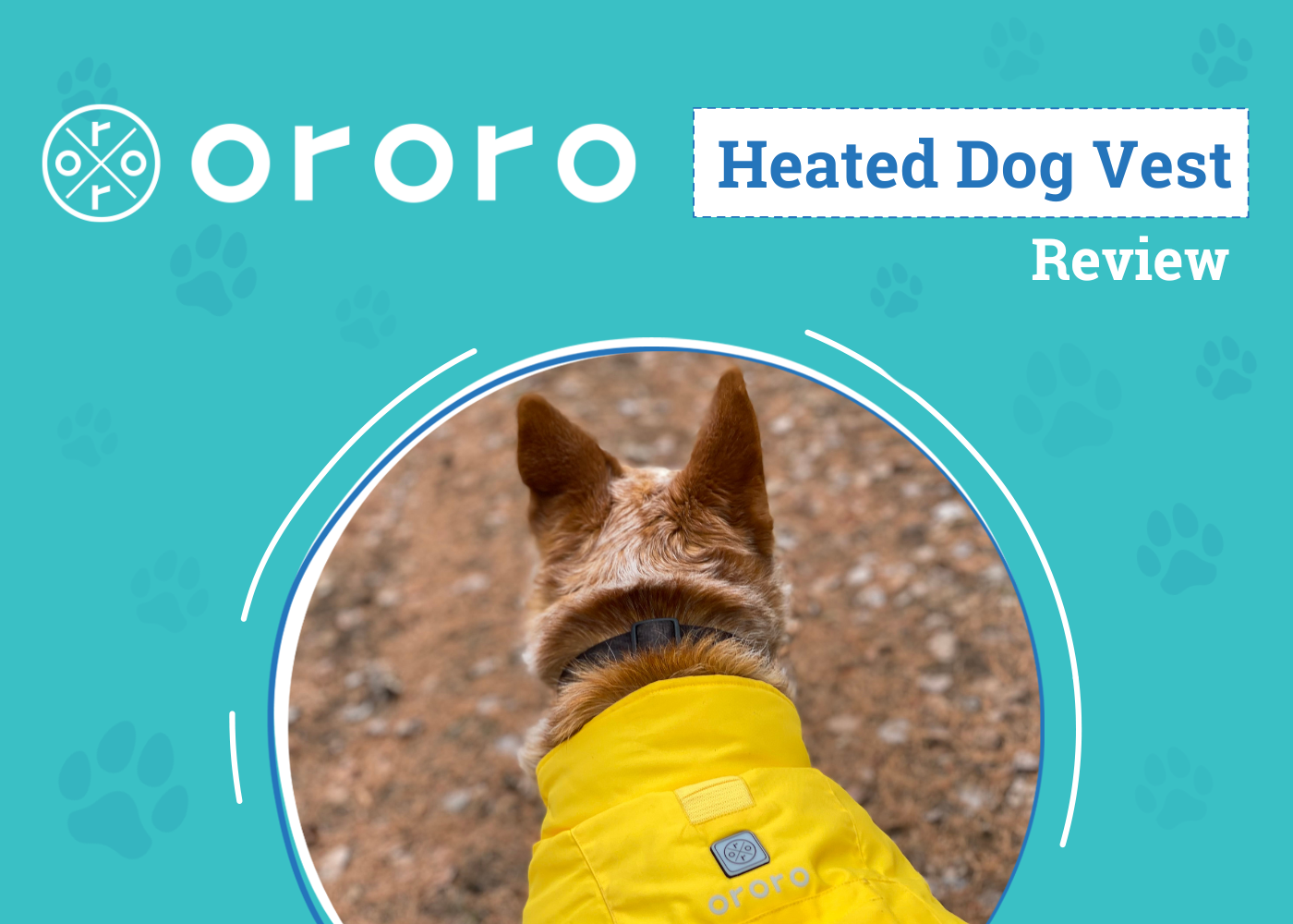 ororo Koldpwoof Heated Dog Vest Review - featured image