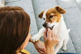 woman feeding her dog a treat seated in stone stairs