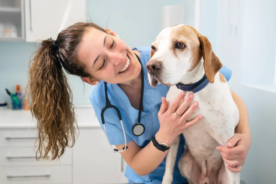 happy veterinary nurse smiling while playing with a dog