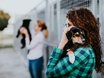 14 Organizations That Help With Vet Bills (2026 Update)