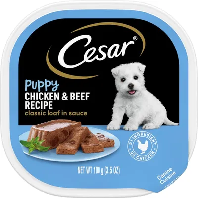 Cesar Puppy Classic Loaf in Sauce Chicken &amp; Beef Recipe Grain-Free Small Breed Wet Dog Food Trays