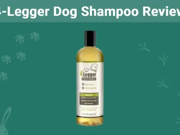 4-Legger Dog Shampoo Review 2026: Our Final Verdict