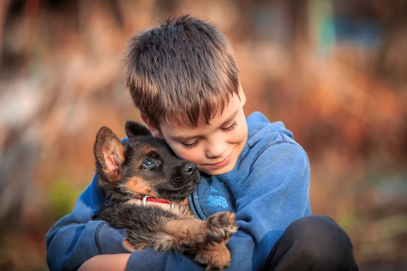 young boy with a german shepherd puppy