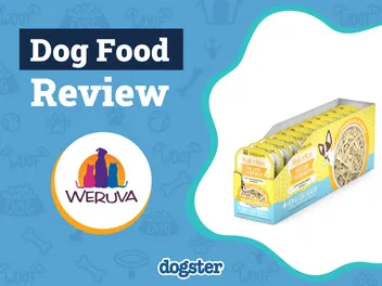 Weruva Dog Food Review 2026: Pros, Cons, Recalls, and Guide