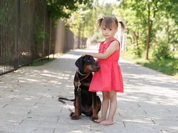 Are Dobermans Good With Kids? Pros & Cons